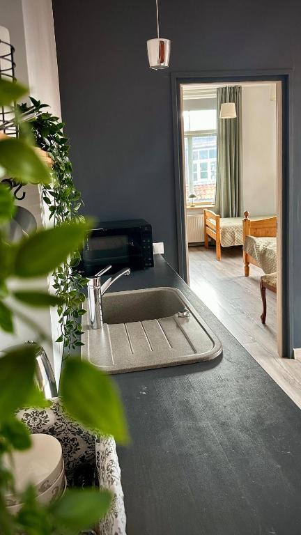 a kitchen with a sink and a living room at Kuldiga Kalna Apartment in Kuldīga