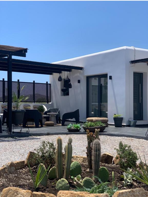 a patio with cacti in front of a house at Mazi stin Io in Ios Chora