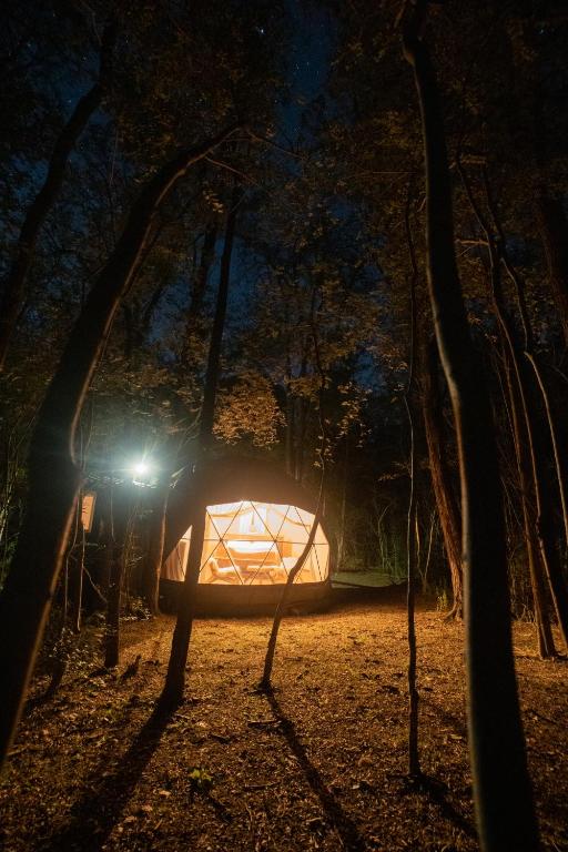 a tent in the middle of a forest at night at El Escondido Natural Glamp in Atos Pampa
