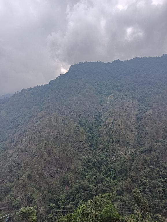 a mountain covered in trees with smoke in the distance at Panchkedar resort in Sonprayag