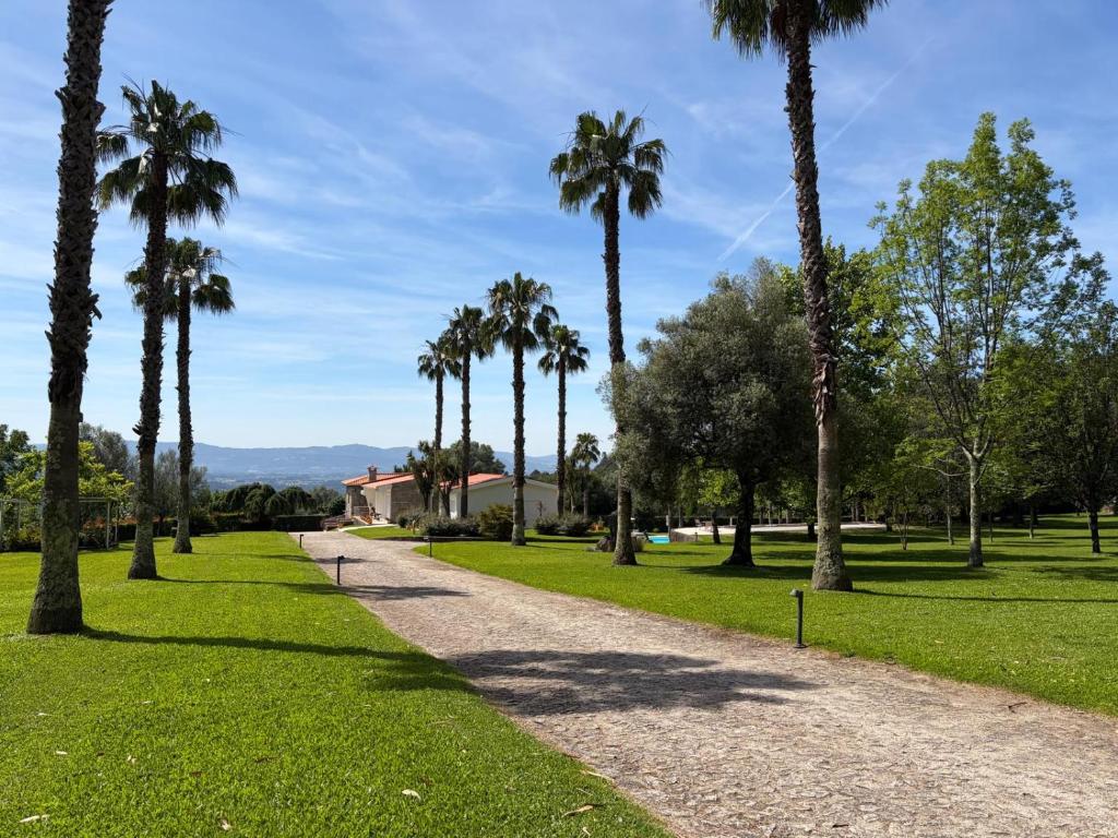 a path through a park with palm trees at Quinta Clara in Vila Verde