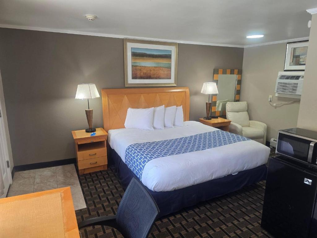 Mount Royal Inn - Housity