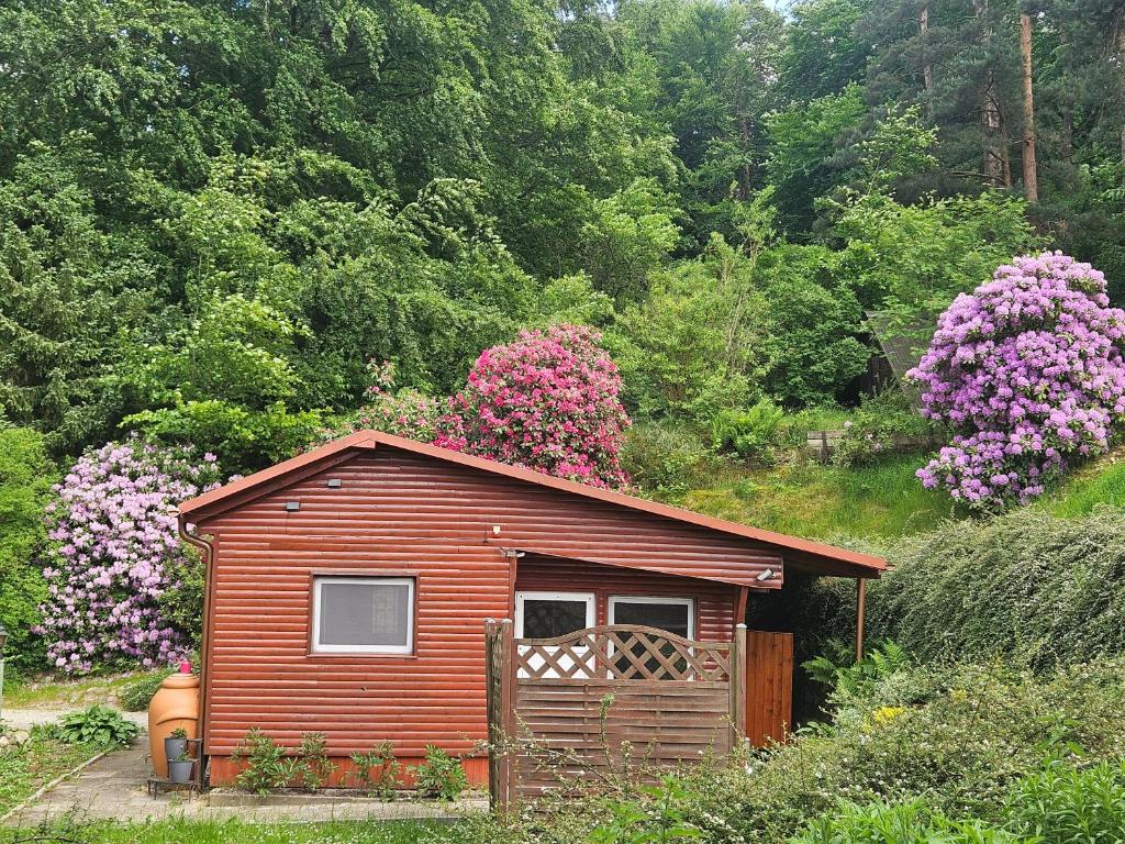 Ferienhaus in Geesthacht-Tesperhude direkt am Waldrand