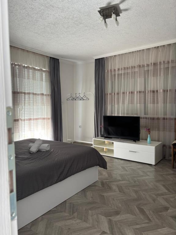 a bedroom with a bed and a flat screen tv at Flat in Trpejca in Ohrid