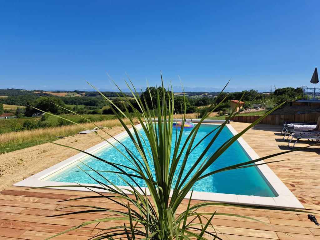 a palm tree in front of a swimming pool at Lôu cayrou in Beaumarches