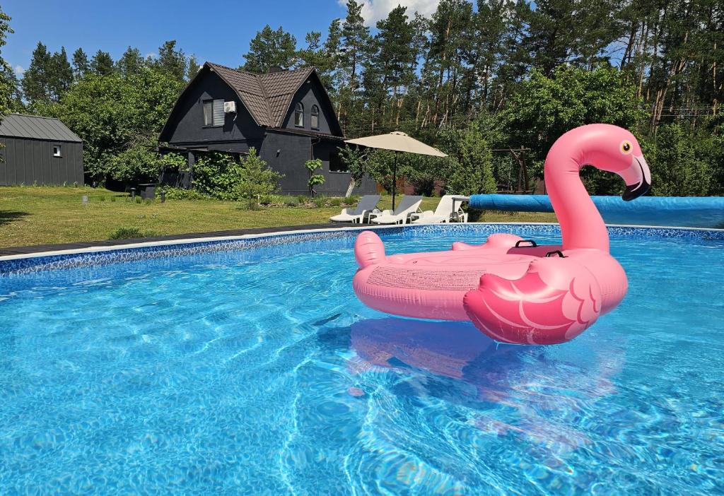 a pink inflatable flamingo in a swimming pool at Green Hills Villa in Sakhnovka