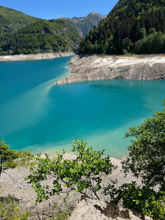 a view of a blue lake in the mountains at Lago Maina Appartamenti in Sauris