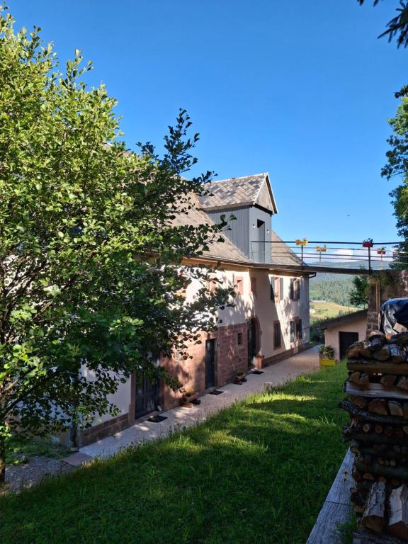 an old building with a tree next to a street at NORDIQUES DE LA WELCHE in Orbey