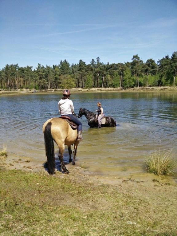 two people riding horses in a body of water at Camping Amable in Someren-Heide