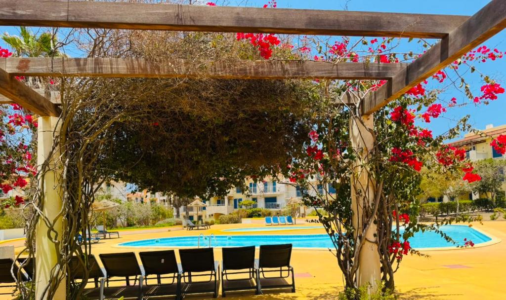 a pergola with chairs and flowers in front of a pool at Santa Maria Ilha do Sal T2 Apartament with pool A&L em Vila Verde in Prainha
