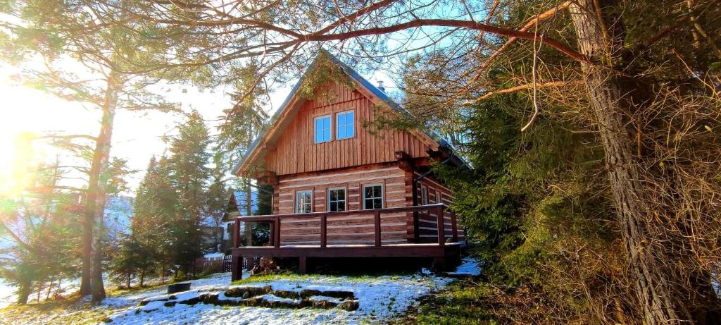 a cabin in the woods with snow on the ground at Roubenka Studánka in Studený