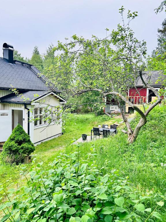 a yard with a house and a field of grass at Vääksyn Mummola in Vääksy