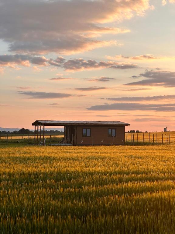 a building in the middle of a field at Fajny domek Wójcice in Otmuchów