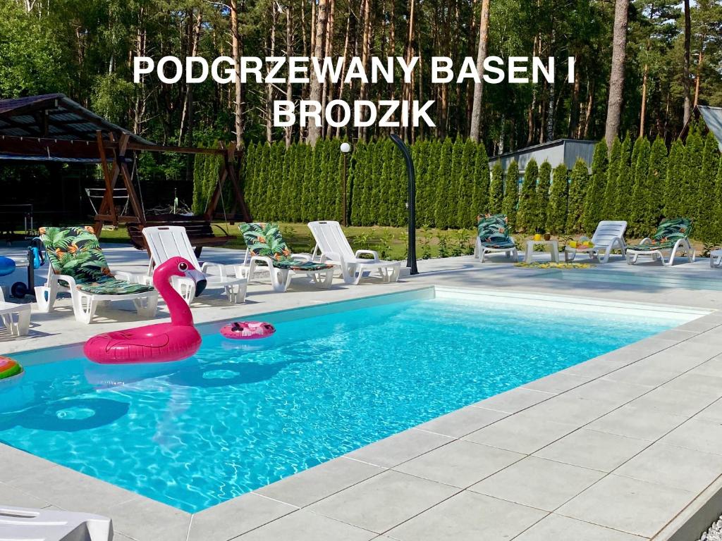 a swimming pool with a red swan in the water at Pensjonat Magnolie in Pobierowo