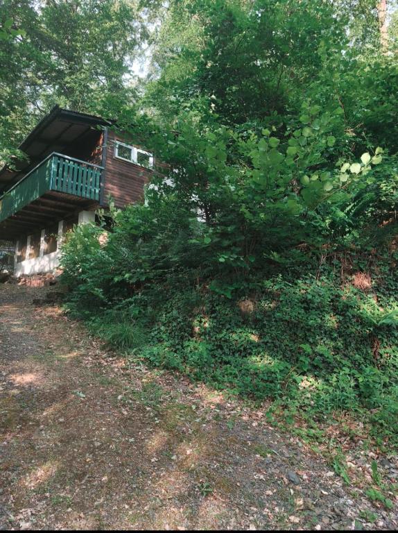 a cabin with a porch and a tree at Ferienhaus am Edersee in Vöhl