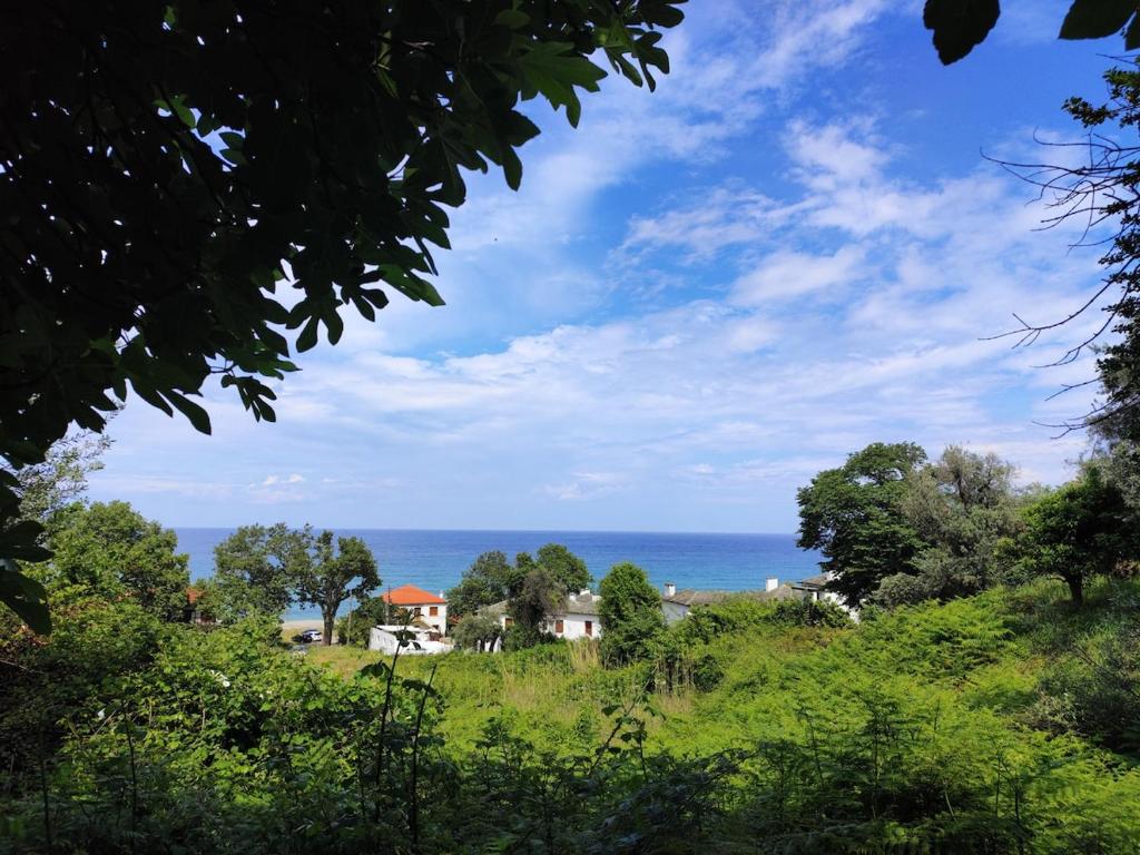 a view of the ocean from a field at Citrus Home in Chorefto