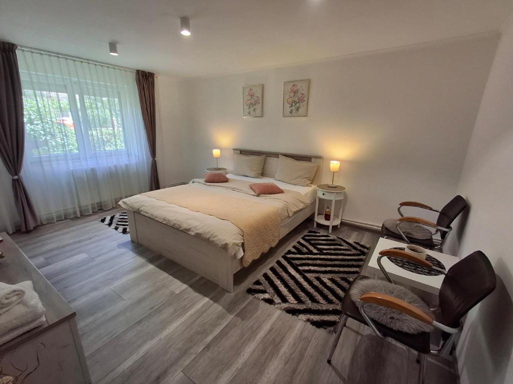 a bedroom with a bed and a table and chairs at Apartament Claudia in Deva