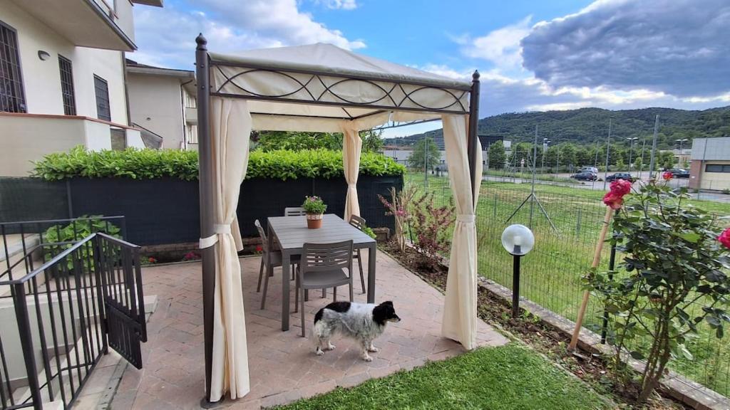 a gazebo with a table and a dog under it at Casa Bibi in Subbiano