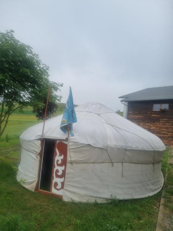 ein Zelt im Gras vor einem Haus in der Unterkunft Mongol champing in Cotormani
