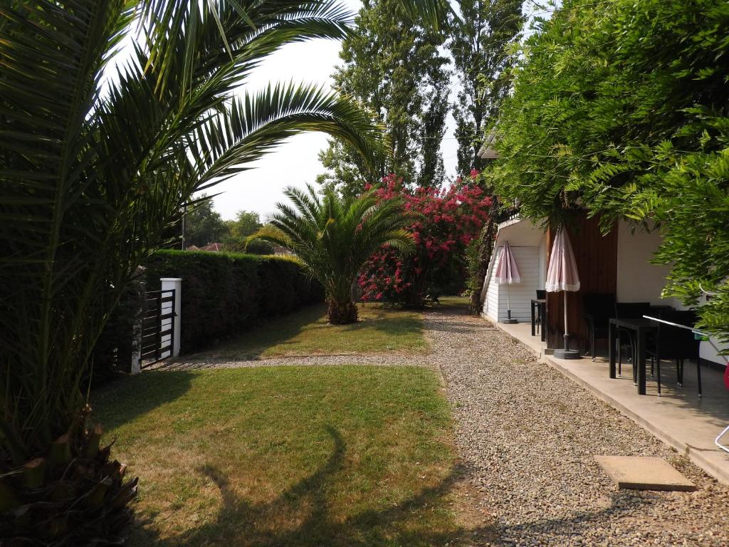 a garden with palm trees and a gravel path at Appartement Coloquinte-Résidence Les Glycines in Eugénie-les-Bains