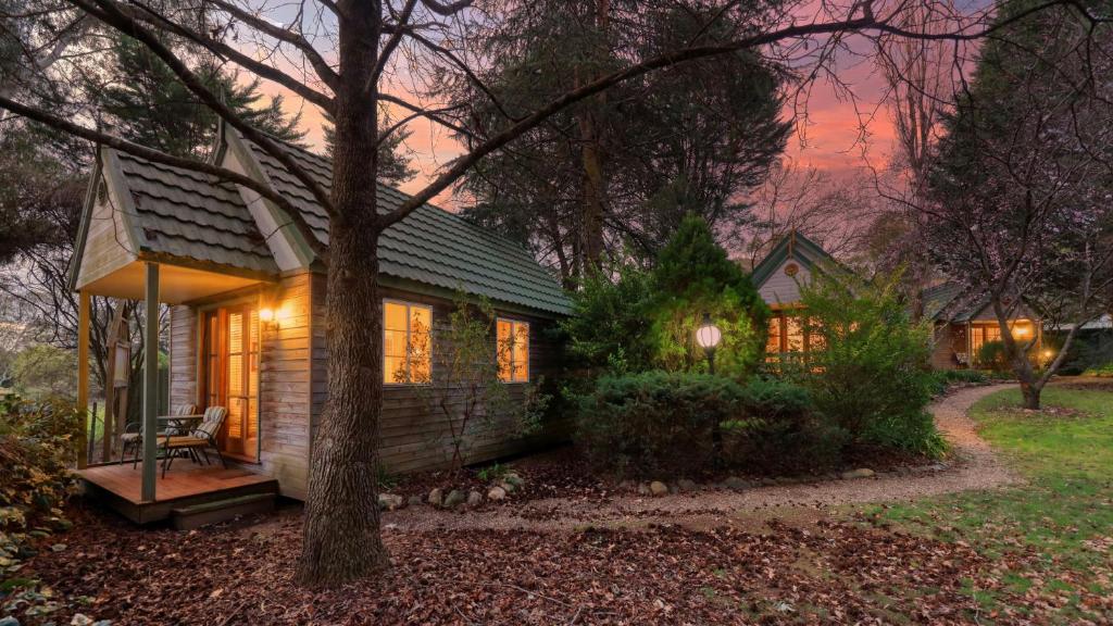 a small house in the woods at night at Chalets Lumineux in Bright