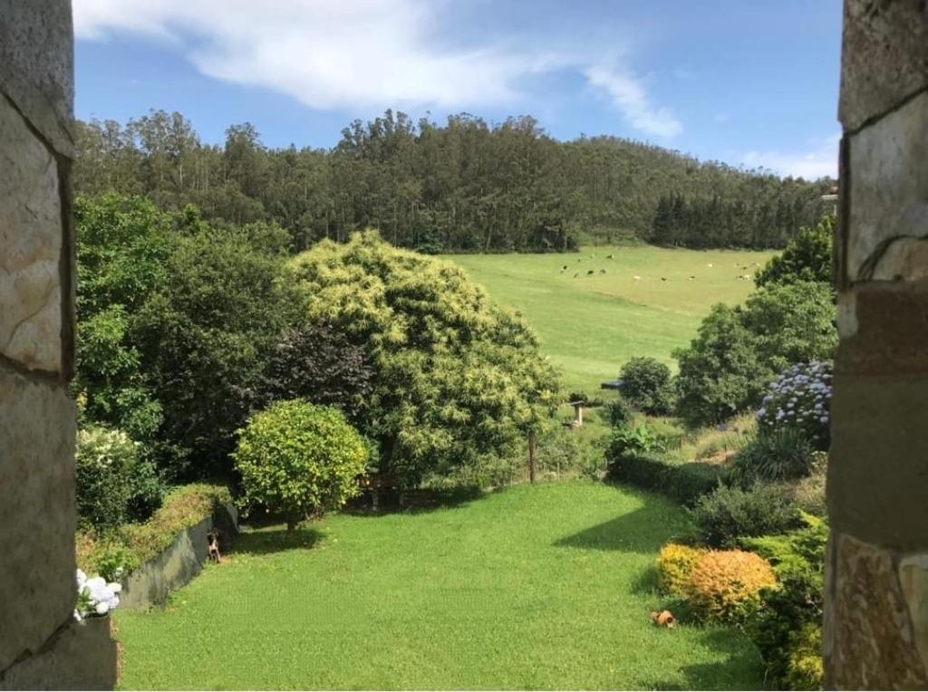 a view from a window of a field with trees at La Casa del Castaño in Vegadeo