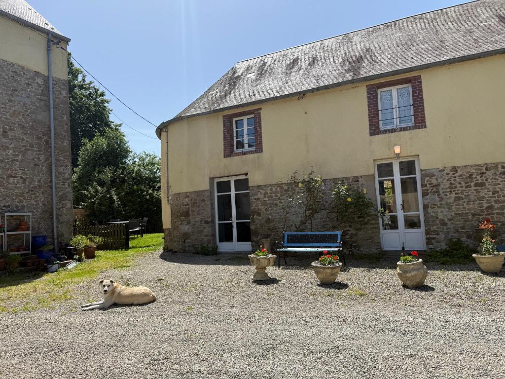 a dog laying on the ground in front of a house at Orchid Cottage in Gorges
