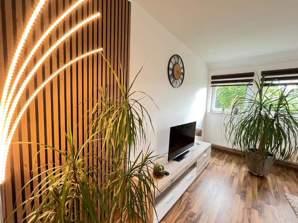 a living room with two potted plants and a television at Ferienwohnung Balkon Grupe in Stadtoldendorf