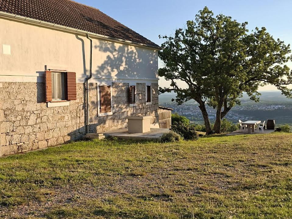 a house with a tree and a table in front of it at Kuća za odmor Belvedere in Siverić
