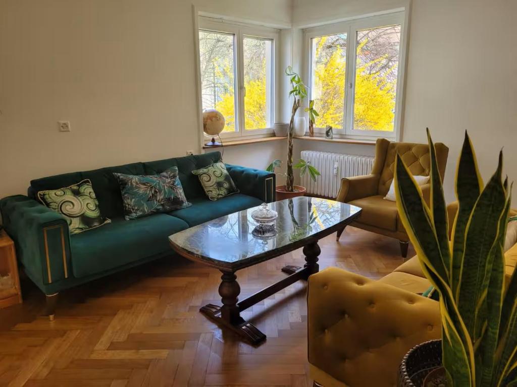 Bright, large apartment close to SBB with garage