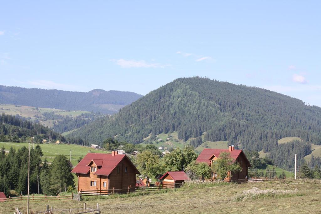 um grupo de casas num campo com uma montanha em Polonyna em Verkhovyna