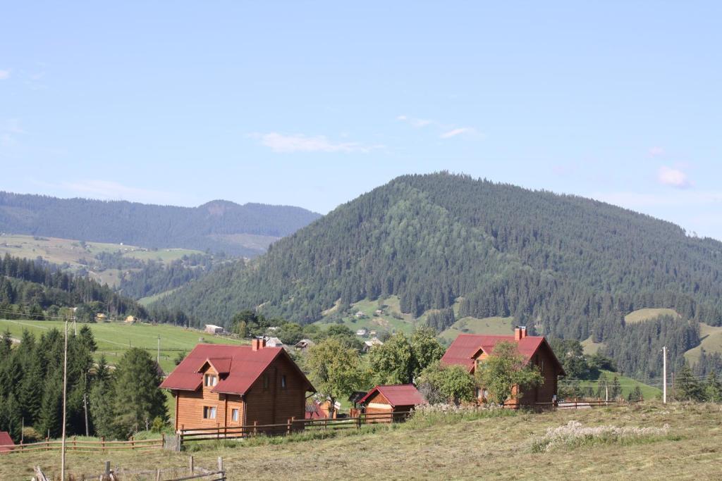 un groupe de maisons dans un champ avec une montagne dans l'établissement Polonyna, à Verkhovyna