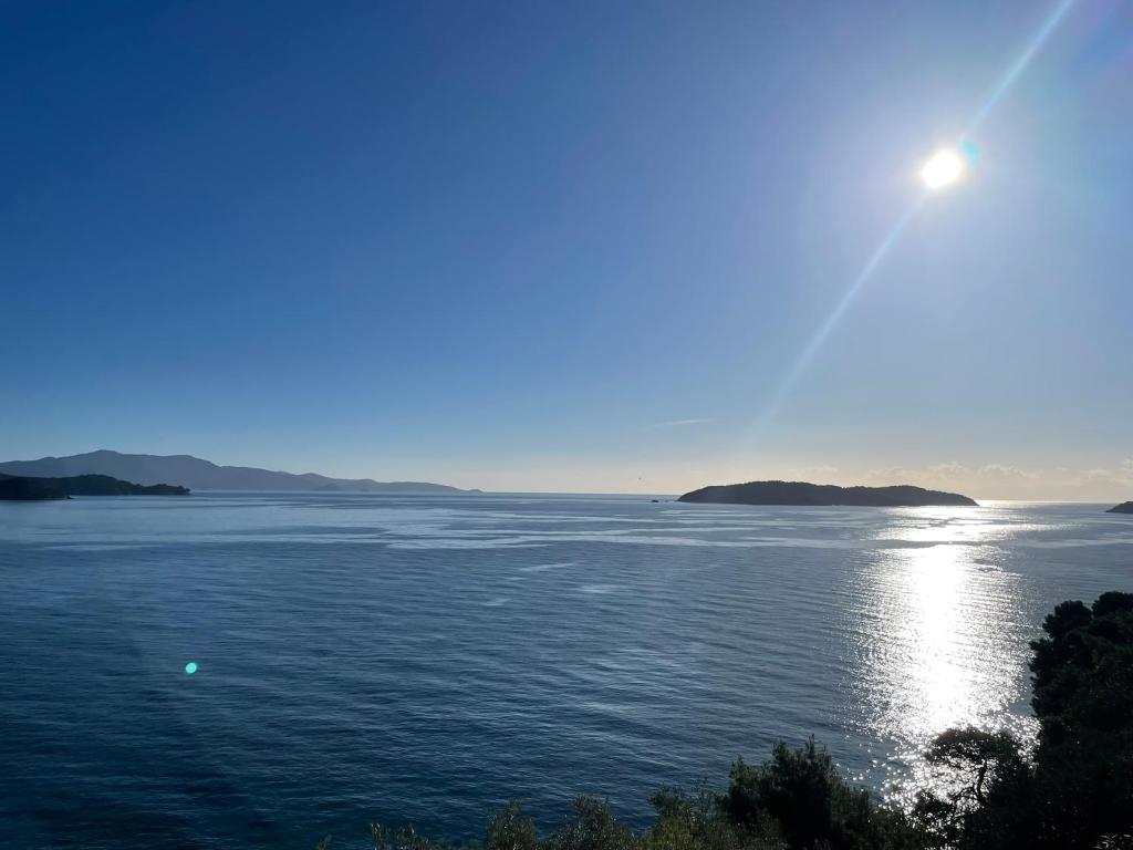 a view of a large body of water at Gaia Skiathos Apartments in Achladies