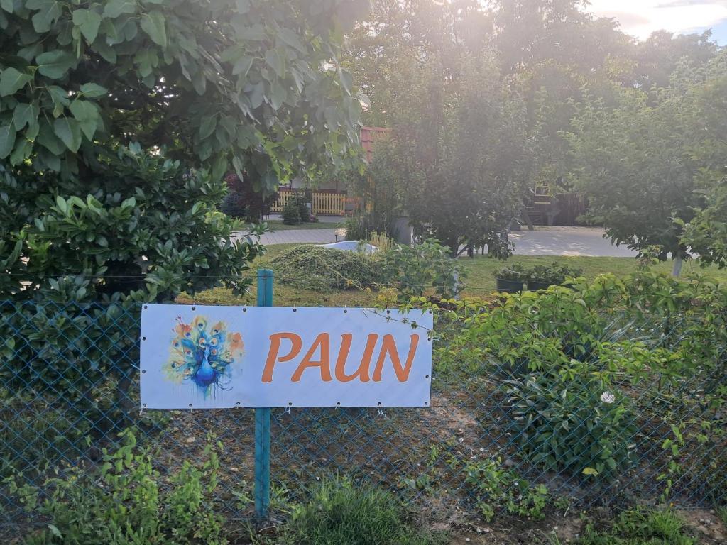 a sign that says pain on a fence at Paun in Koprivnica