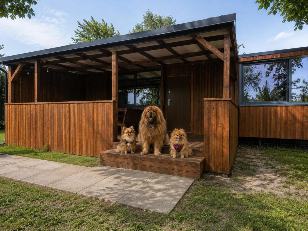 two dogs sitting on a porch in a shed at MAZI HOUSE Jastarnia in Jastarnia