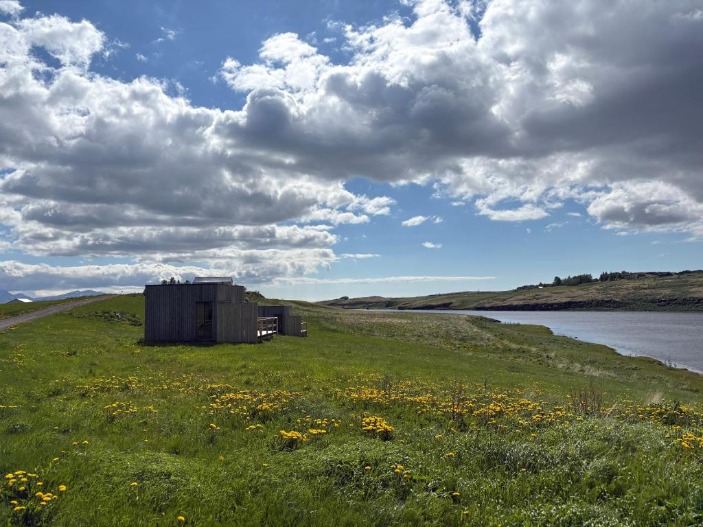 a building in a field next to a body of water at Tommutún cottages in Borgarnes
