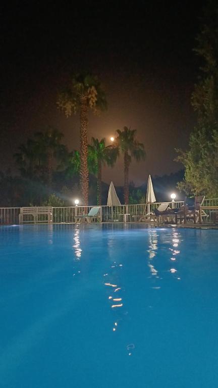 a large swimming pool at night with palm trees at Angels Garden Hotel in Olympos