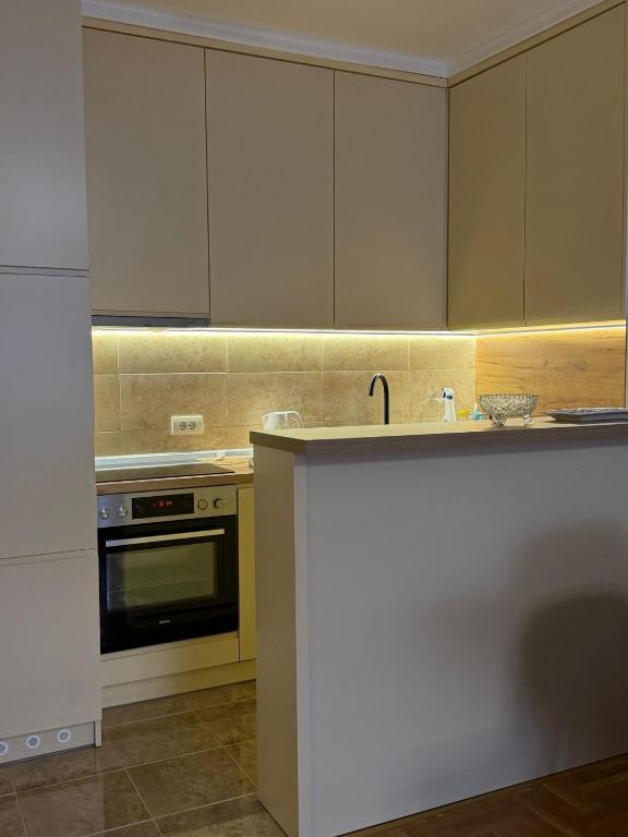 a kitchen with a sink and a stove at Apartman BIANKA in Bijeljina