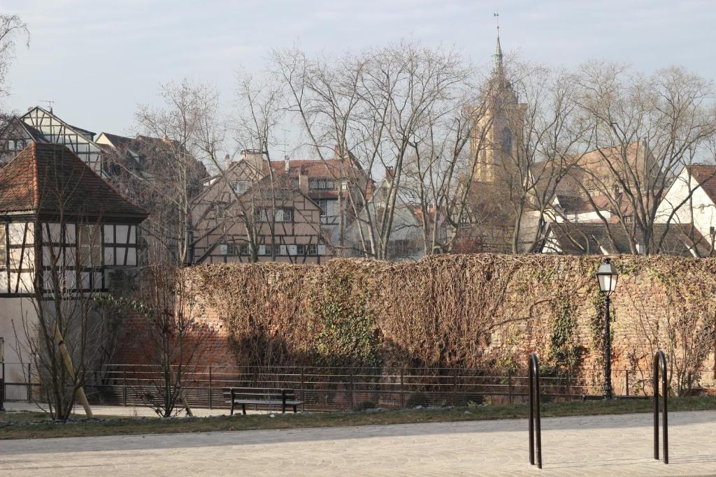 Gîtes Schwendi - Quartier Petite Venise – photo 14