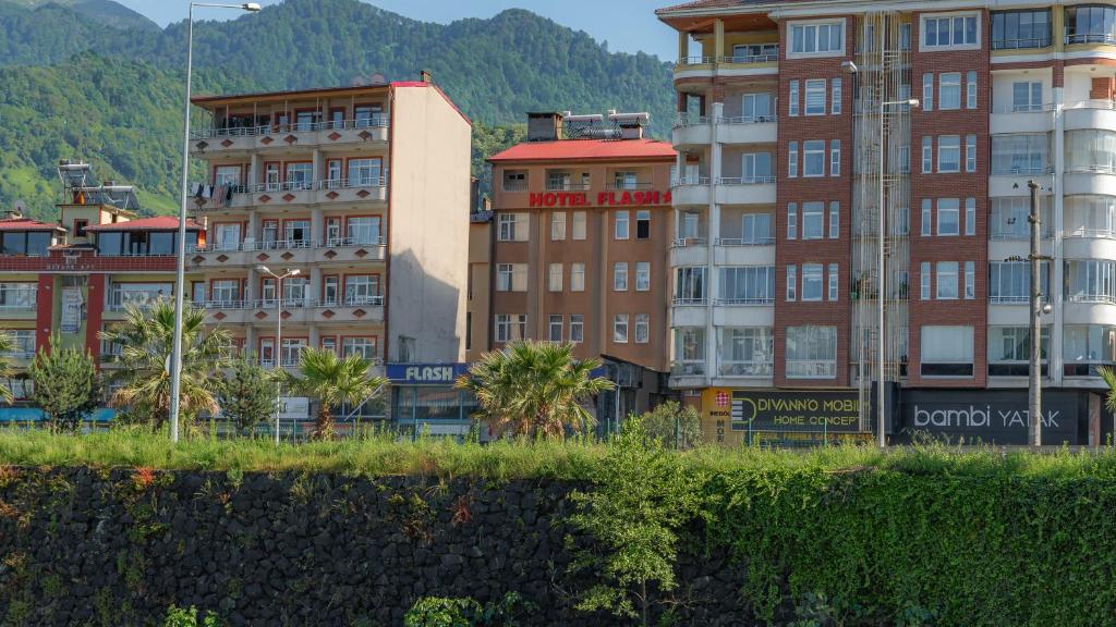 eine Gruppe von Gebäuden mit Palmen und Bergen in der Unterkunft Hotel Flash in Artvin