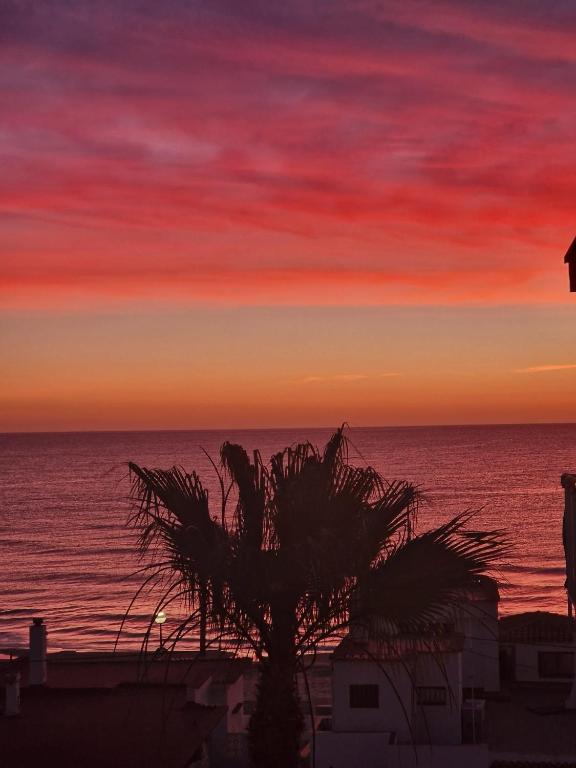 a sunset over the ocean with a palm tree at Miramar Playa in La Playa de la Torre de Piles