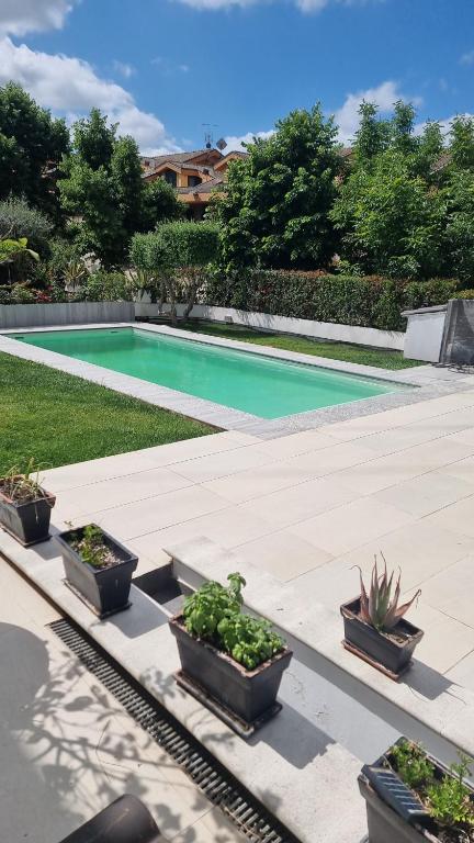 a swimming pool with four potted plants on a patio at A Casa di Dody in Guidonia
