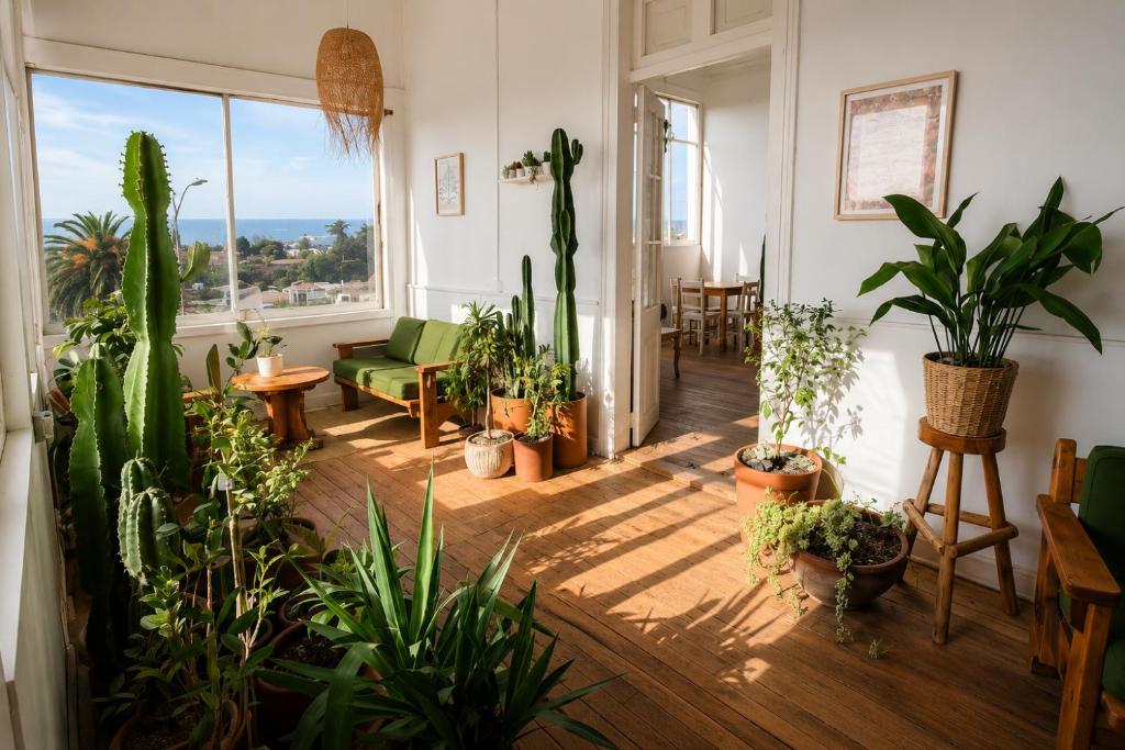 a living room filled with lots of potted plants at Silvestre Hostel in Pichilemu