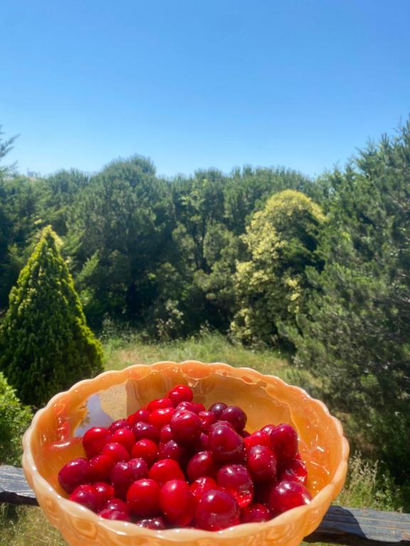 a basket of red berries sitting on top of a table at Nature Gate Airport Hotel in Arnavutköy