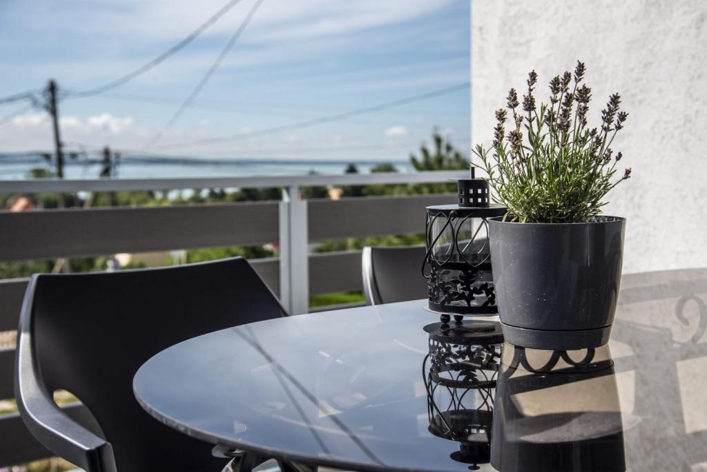 a table with a potted plant on a balcony at Víkend Apartmanok in Révfülöp