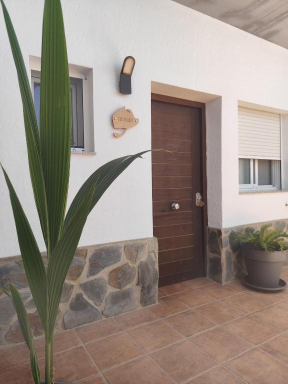 a front door of a house with a plant at Alojamiento Lo Trabucador in Poblenou del Delta
