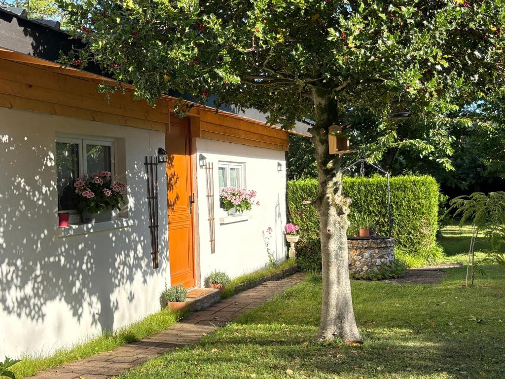 a house with an orange door and a tree at Gîte les violettes in Lagny