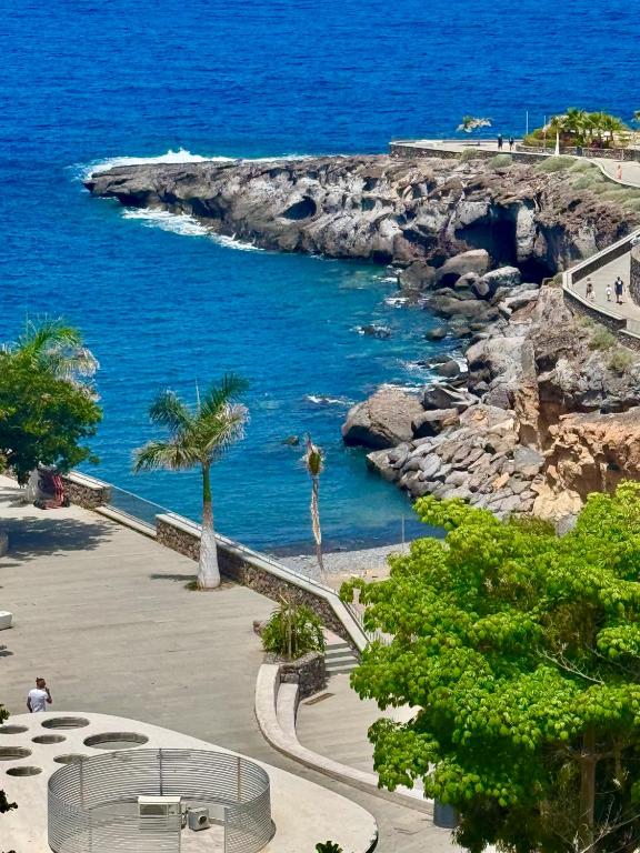 a view of the ocean and a beach with palm trees at La Estrella del Sur in Adeje