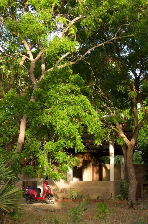 a person riding a red scooter under a tree at Lahara - Komari in Ampara