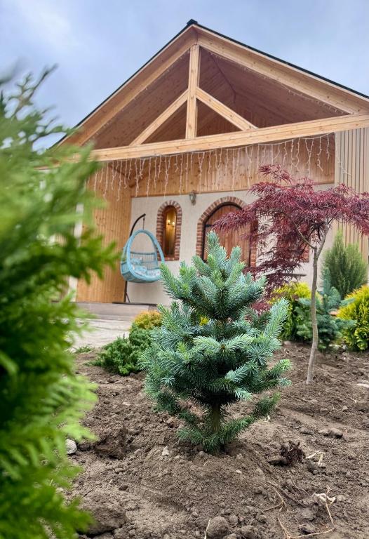 a small pine tree in front of a house at Chalet Harmony in Bagdatʼi
